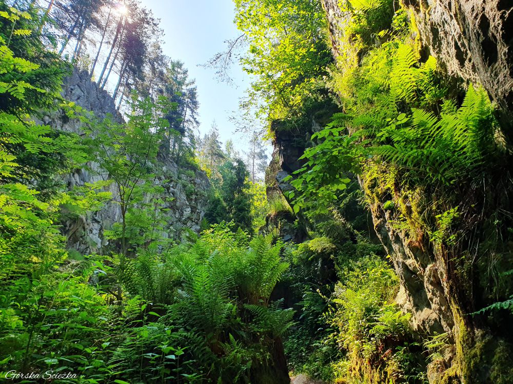 Góra Wdżar: Początek trasy przez kamieniołom