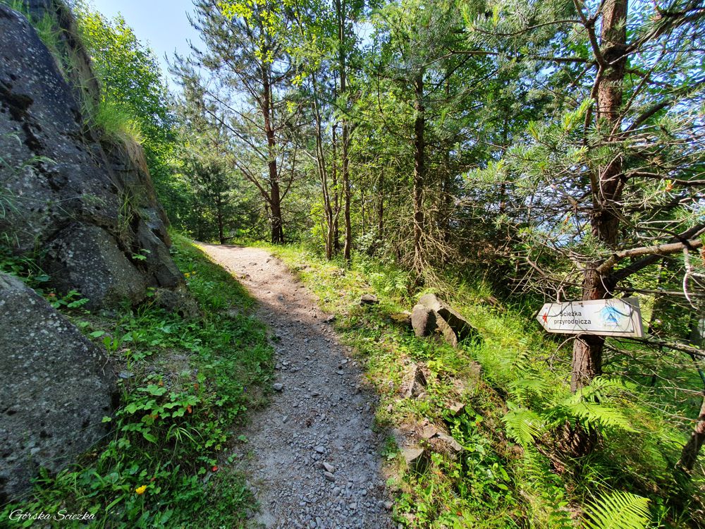 Góra Wdżar: Końcowy odcinek ścieżki przyrodniczej
