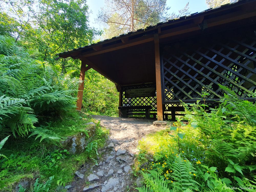 Góra Wdżar: Wiata wypoczynkowa na ścieżce przyrodniczej