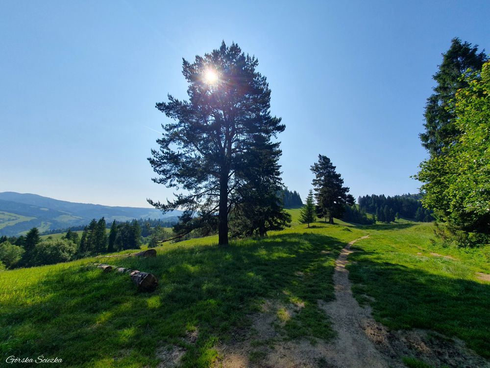 Jarmuta: Szlak turystyczny na Wysoki Wierch