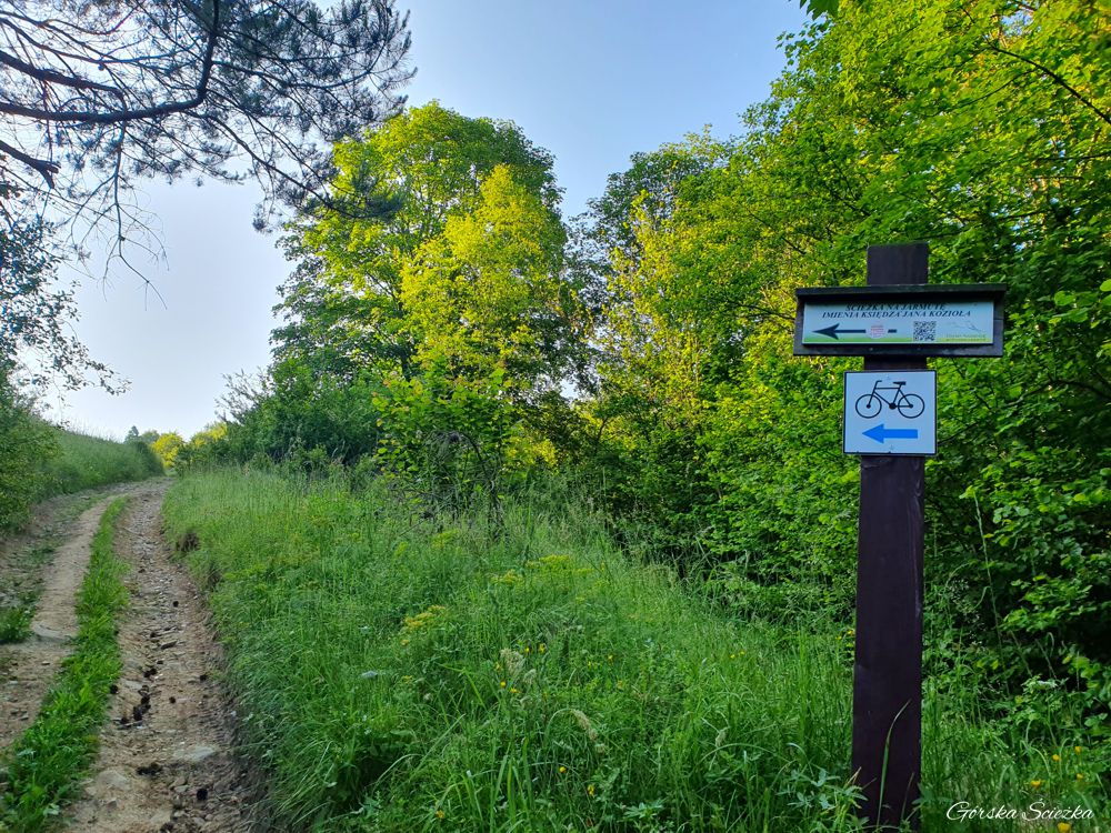 Jarmuta: Kierunkowskaz na Jarmutę