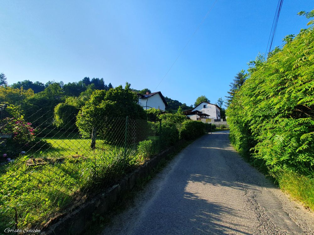 Jarmuta: Początek ścieżki na Jarmutę