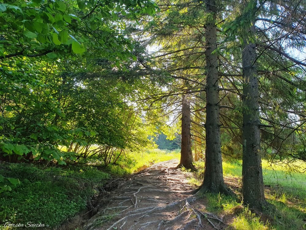 Jarmuta: Przed Przełęczą Klimantowską