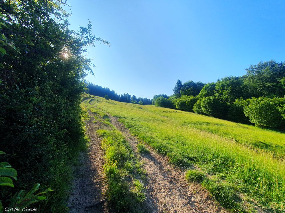 Jarmuta: Przed Przełęczą Klimontowską