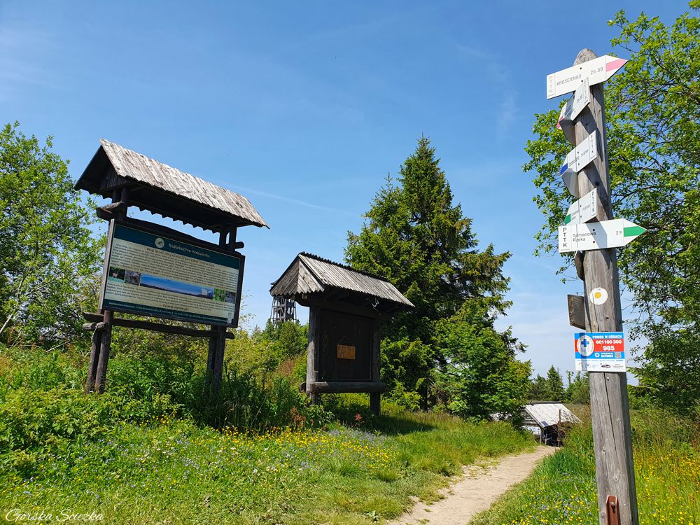 Lubań szczyt: Skrzyżowanie szlaków pod Lubaniem