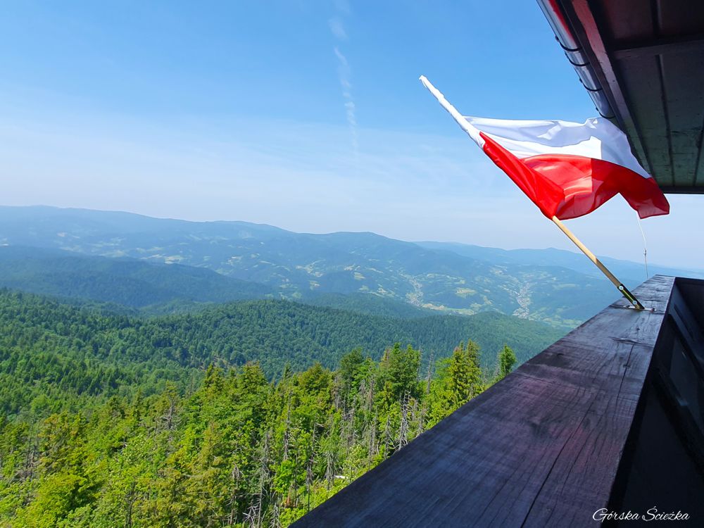 Lubań szczyt: Panorama z wieży widokowej