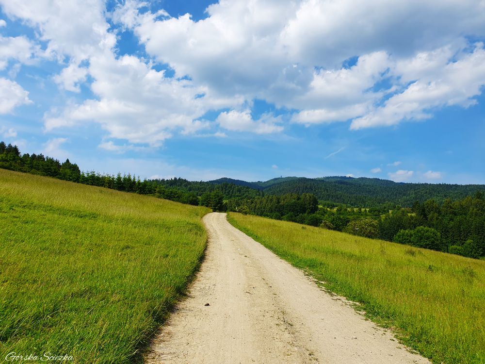 Lubań Szczyt: Początek szlaku niebieskiego