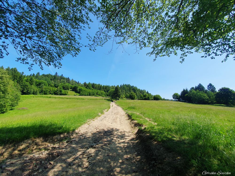 Lubań Szczyt: Początek szlaku niebieskiego