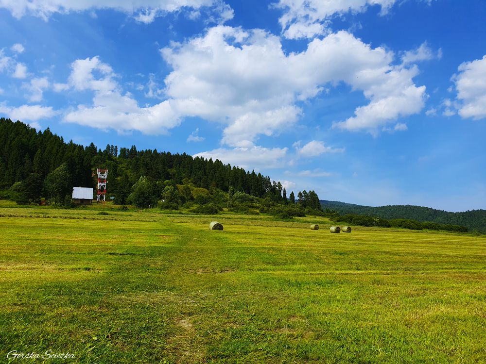 Lubań szczyt: Trasa z Przełęczy Snozka
