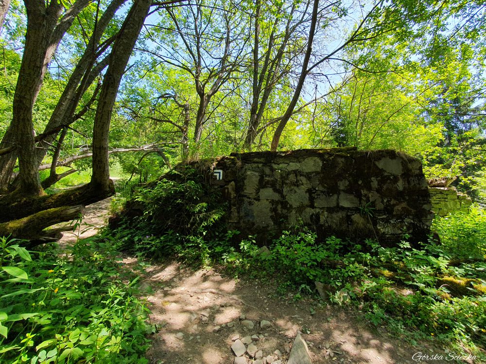 Lubań szczyt: Ruiny Bacówki