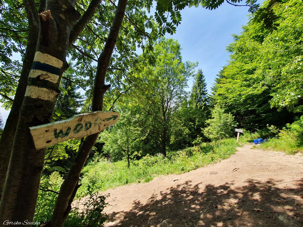 Lubań szczyt: Ujęcie wody przed szczytem Lubania