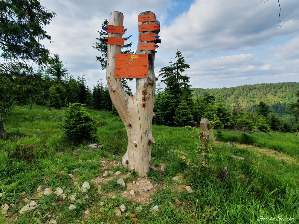 Przehyba: szczyt Przehyby wraz z kierunkowskazem