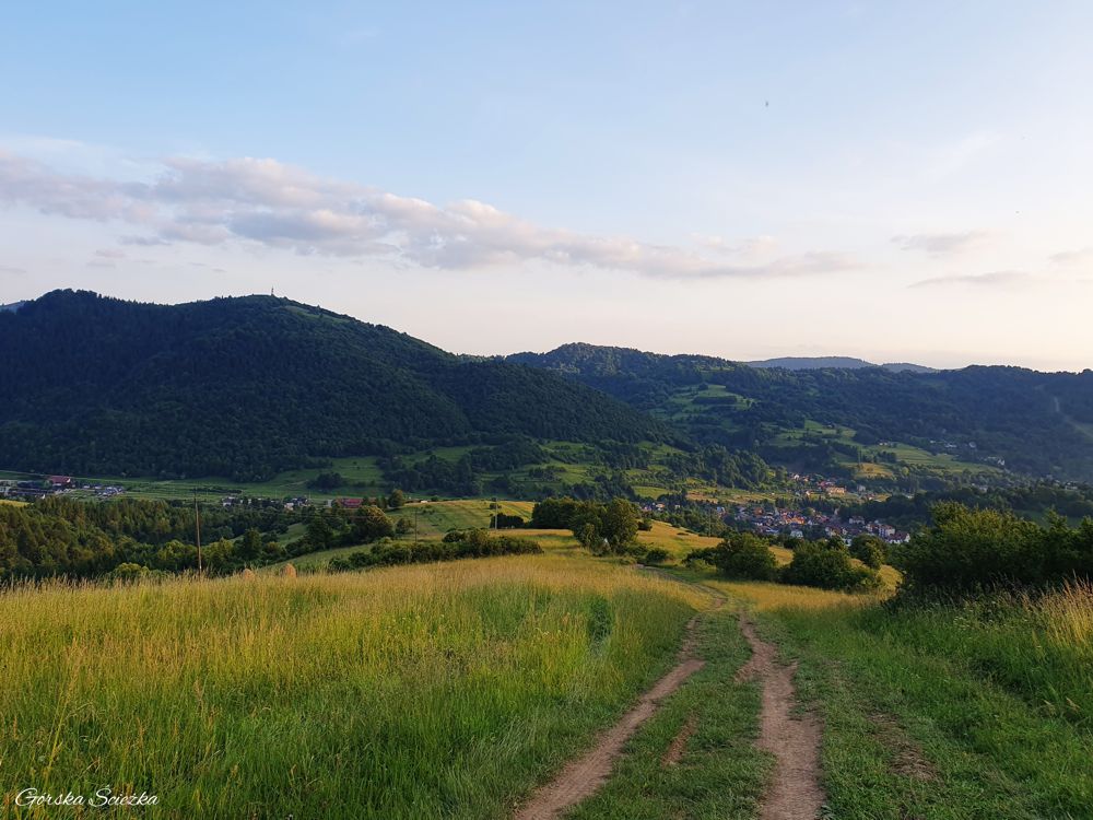 Przehyba: Widok ze szlaku zielonego na miasteczko