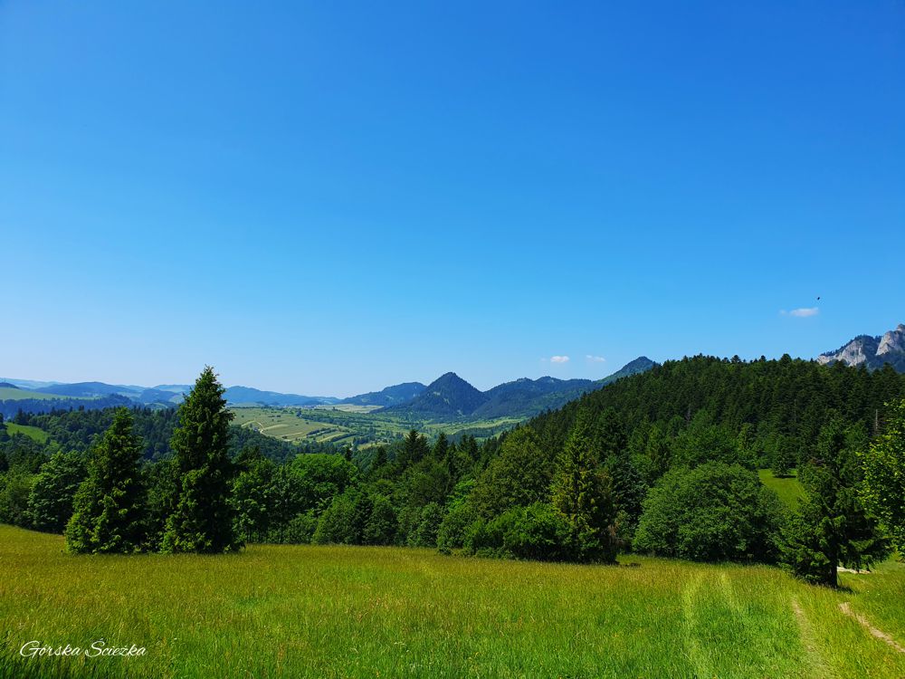 Przełęcz pod Klasztorną Górą (Sedlo Cerla): Panorama z Przełęczy pod Klasztorną Górą