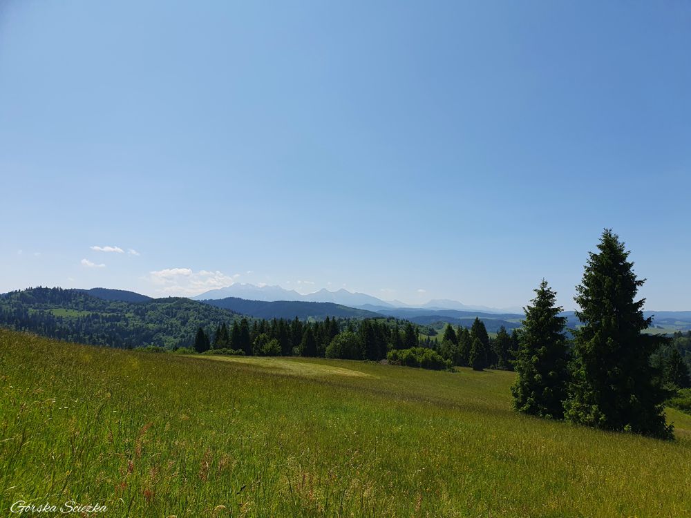 Przełęcz pod Klasztorną Górą: Widok na Tatry z przełęczy