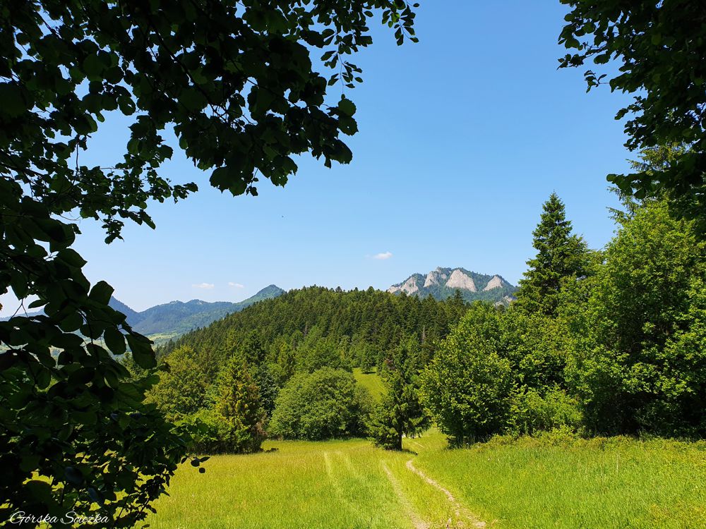 Przełęcz pod Klasztorną Górą: Widok nad przełęczą, w tle 3 Korony