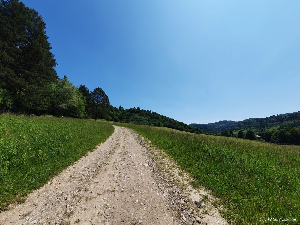 Przełęcz pod Klasztorną Górą: Szlak wytyczony polną drogą