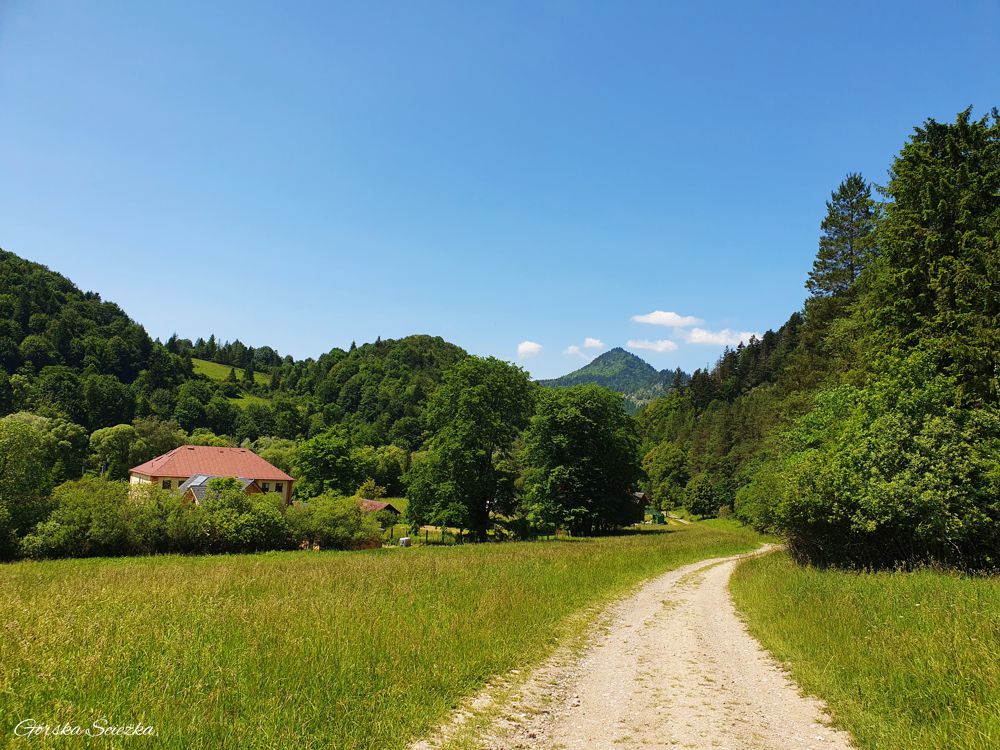 Przełęcz pod Klasztorną Górą: Początek polnej ścieżki