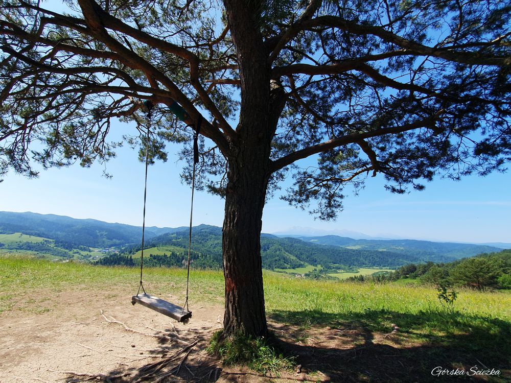 Huśtawka nad Przełęczą pod Tokarnią