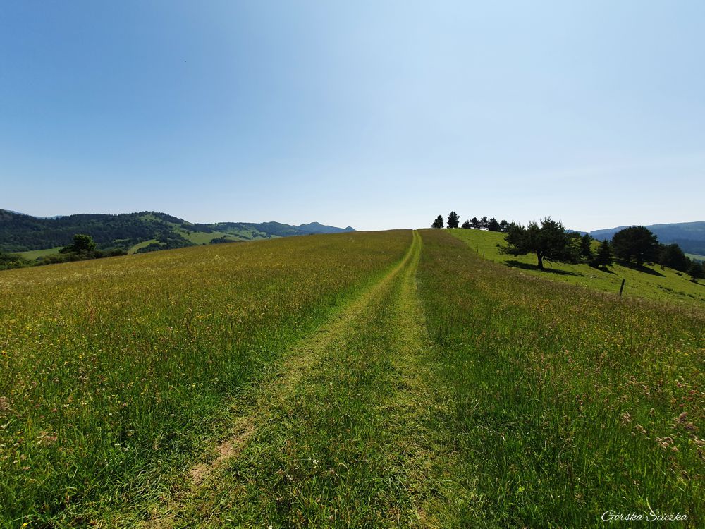 Trasa na Przełęcz pod Tokarnią