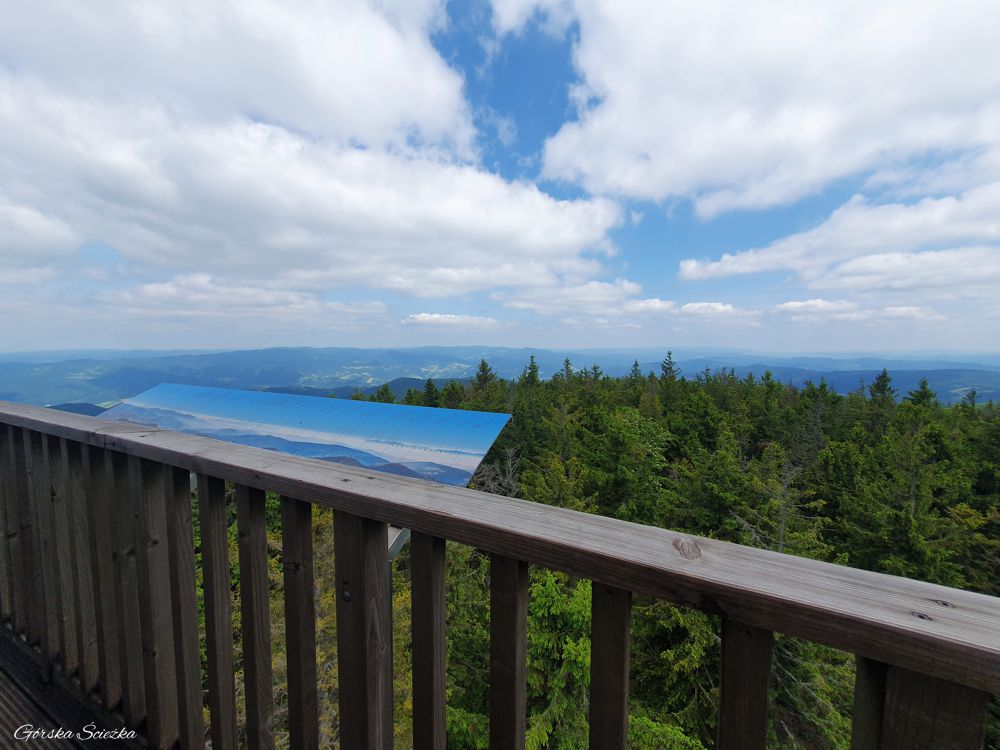 Radziejowa z Jaworek: Panorama z Radziejowej