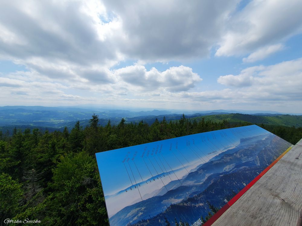Radziejowa z Jaworek: Panorama z Radziejowej