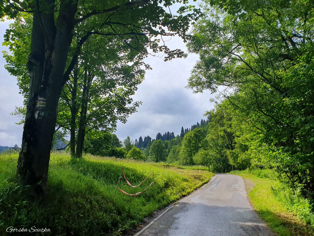 Radziejowa z Jaworek: ul. Biała Woda