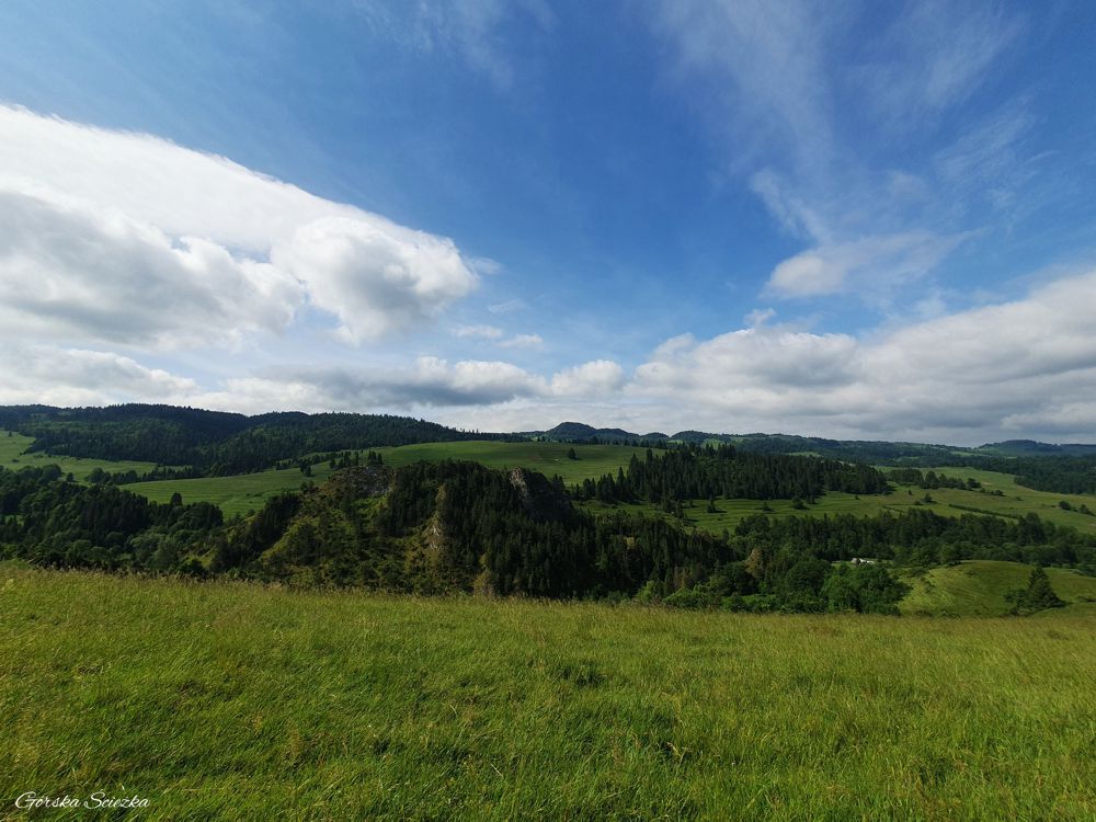 Radziejowa z Jaworek: Nad Rezerwatem Biała Woda