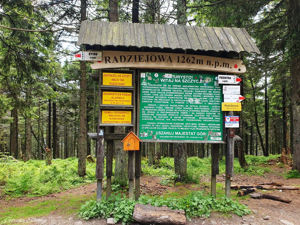 Radziejowa z Jaworek: Tablica informacyjna Radziejowa