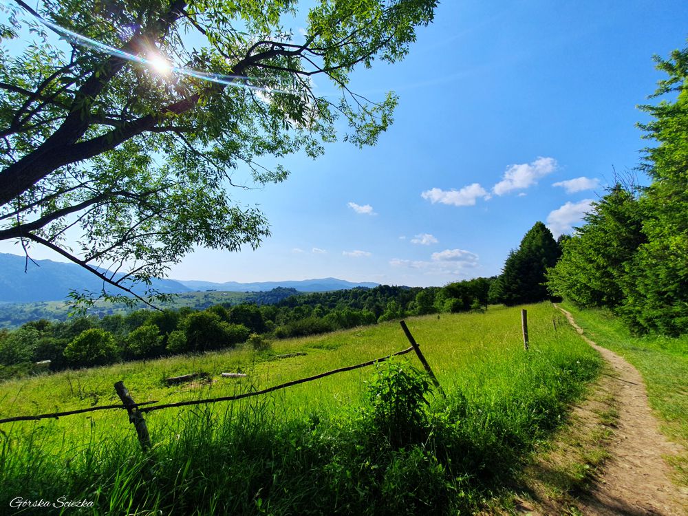Bacówka PTTK pod Bereśnikiem: Pierwsze widoki przy szlaku żółtym
