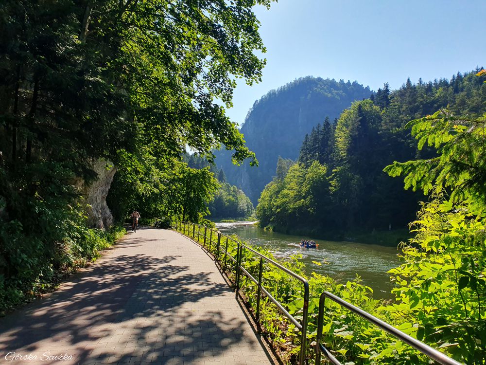 Szczawnica-Czerwony Klasztor: Początek ścieżki pieszo-rowerowej