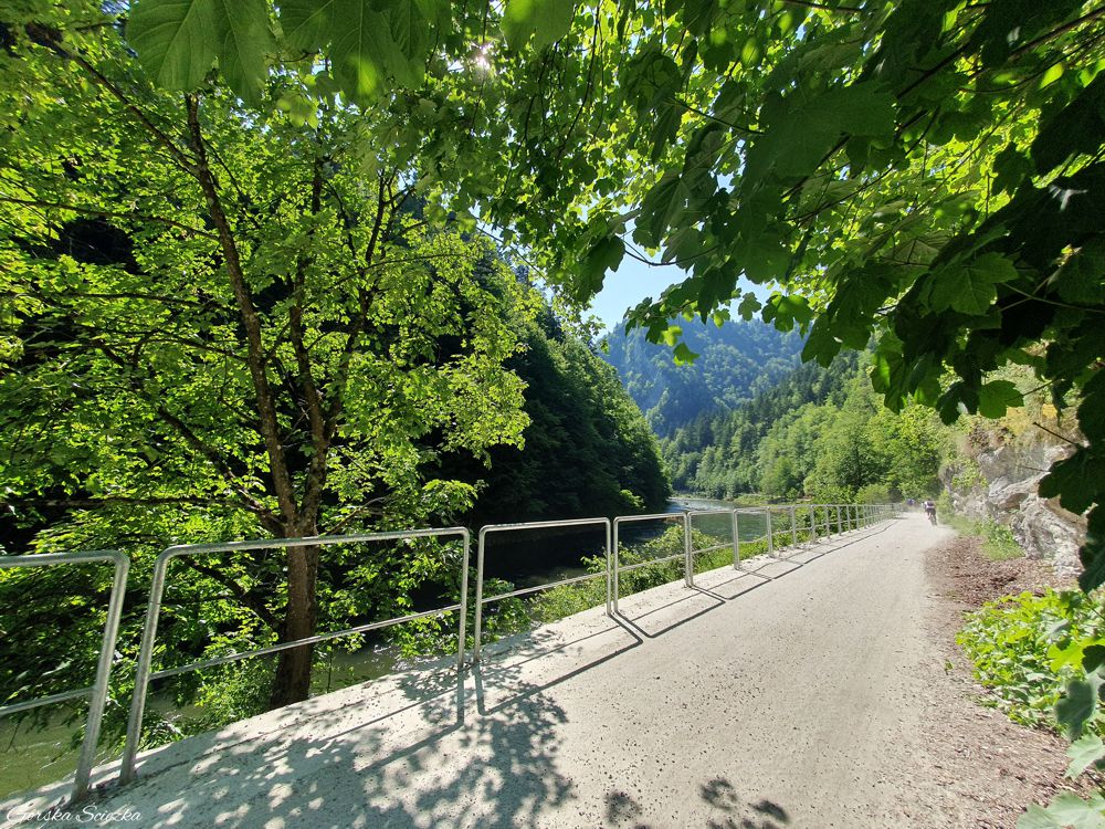 Szczawnica-Czerwony Klasztor: Trasa przy brzegu Dunajca