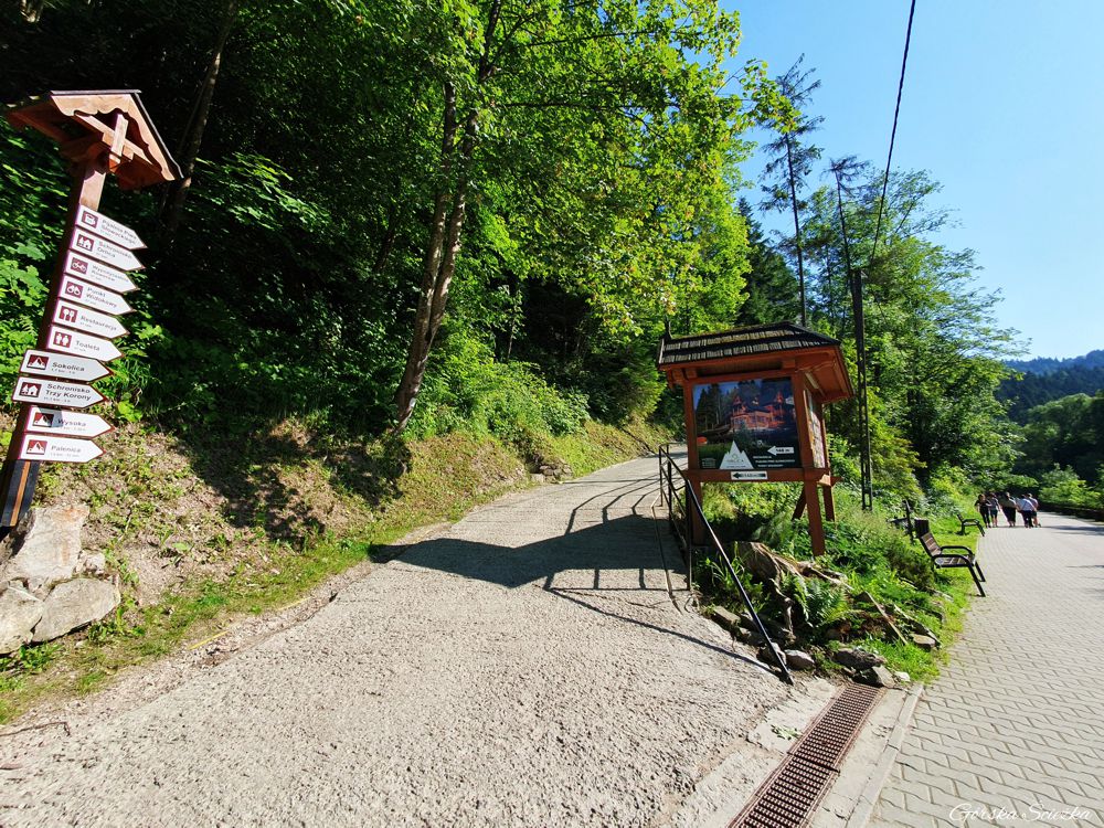 Droga do Schroniska PTTK Orlica