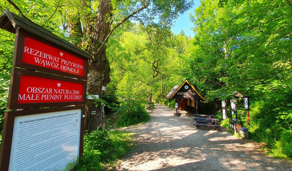 Wąwóz Homole