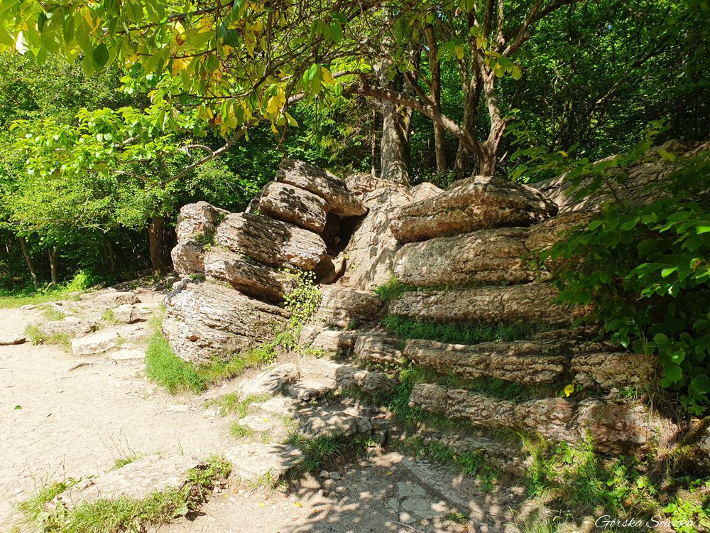 Wąwóz Homole: Kamienne Księgi na polanie