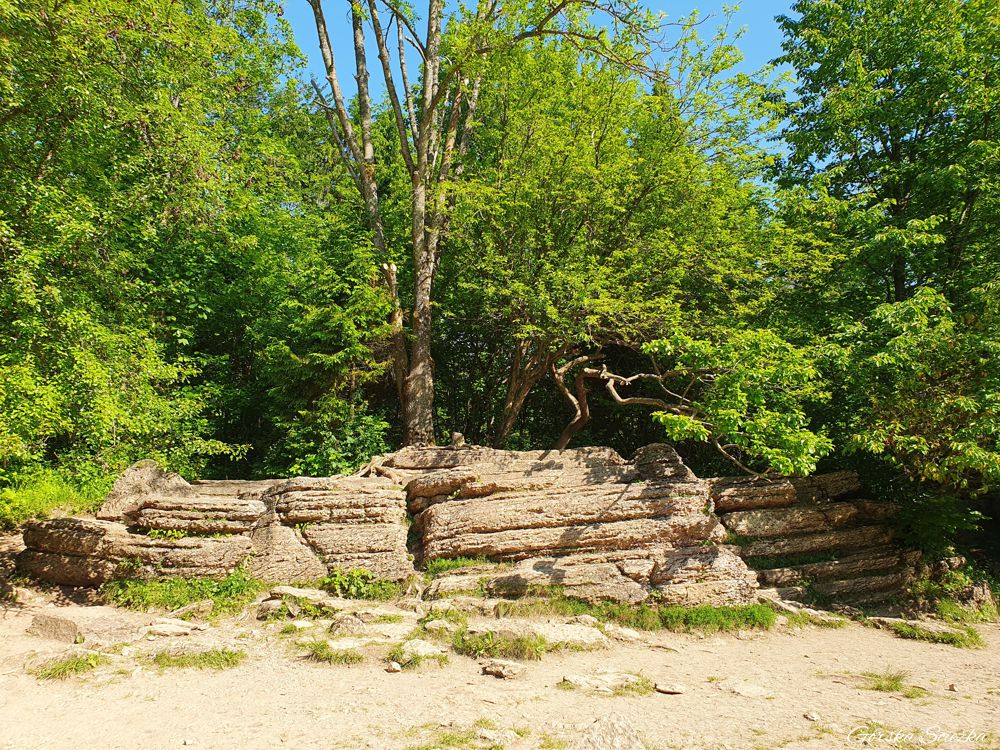 Wąwóz Homole: Kamienne Księgi na polanie