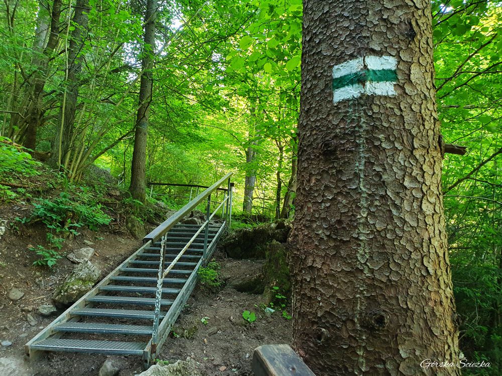 Wąwóz Homole: Schody wyprowadzające z wąwozu