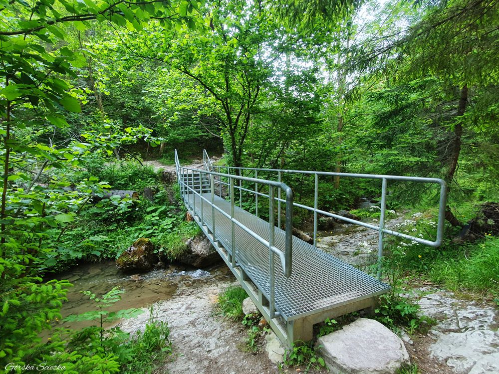 Wąwóz Homole: Pierwszy metalowy most na szlaku