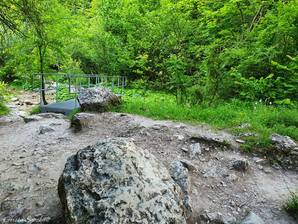 Wąwóz Homole: Szlak przez Wąwóz Homole