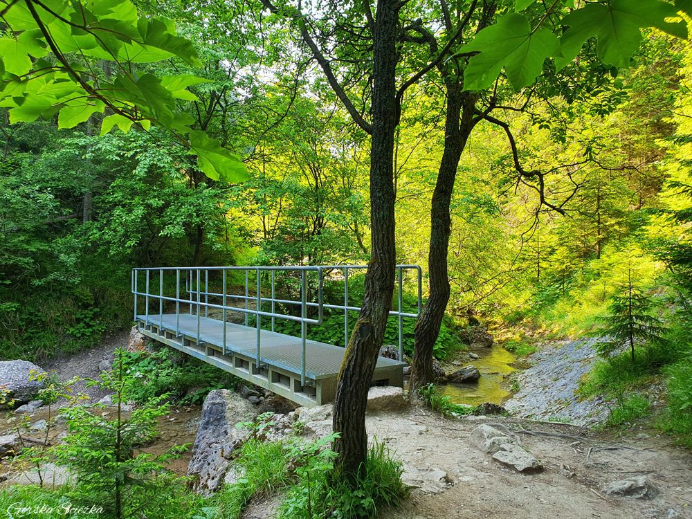 Wąwóz Homole: Kolejny metalowy most na trasie