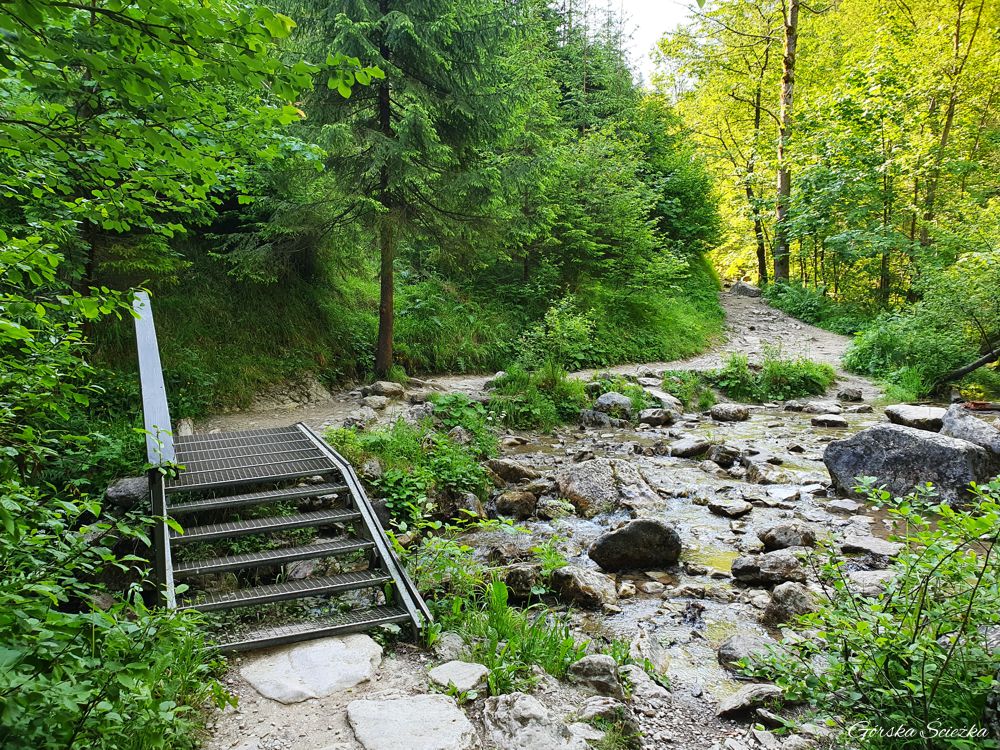 Wąwóz Homole: Metalowe schodki nad potokiem Kamionka