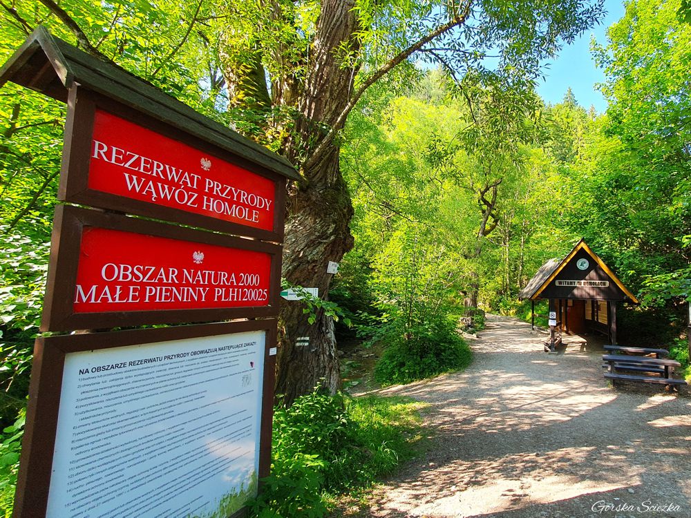 Wąwóz Homole: Wejście do Wąwozu Homole
