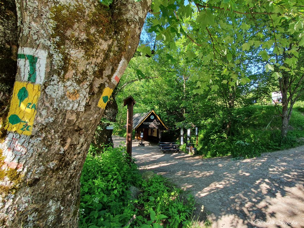 Wąwóz Homole: Wejście do Wąwozu Homole