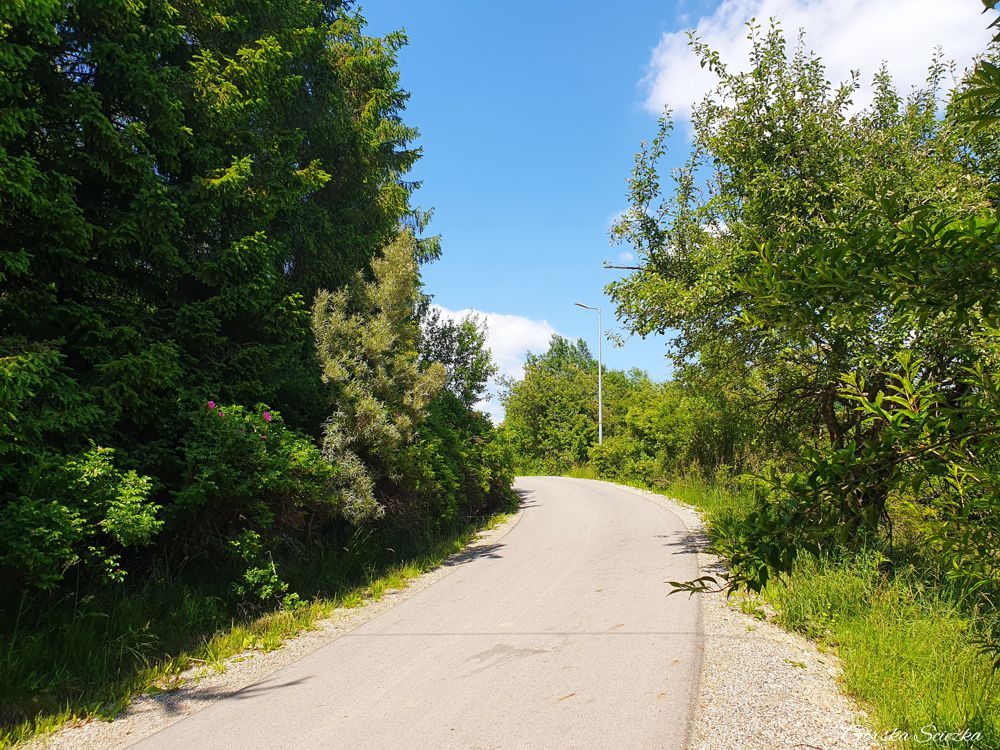 Wodospad Zaskalnik: Szlak niebieski na Wodospad Zaskalnik