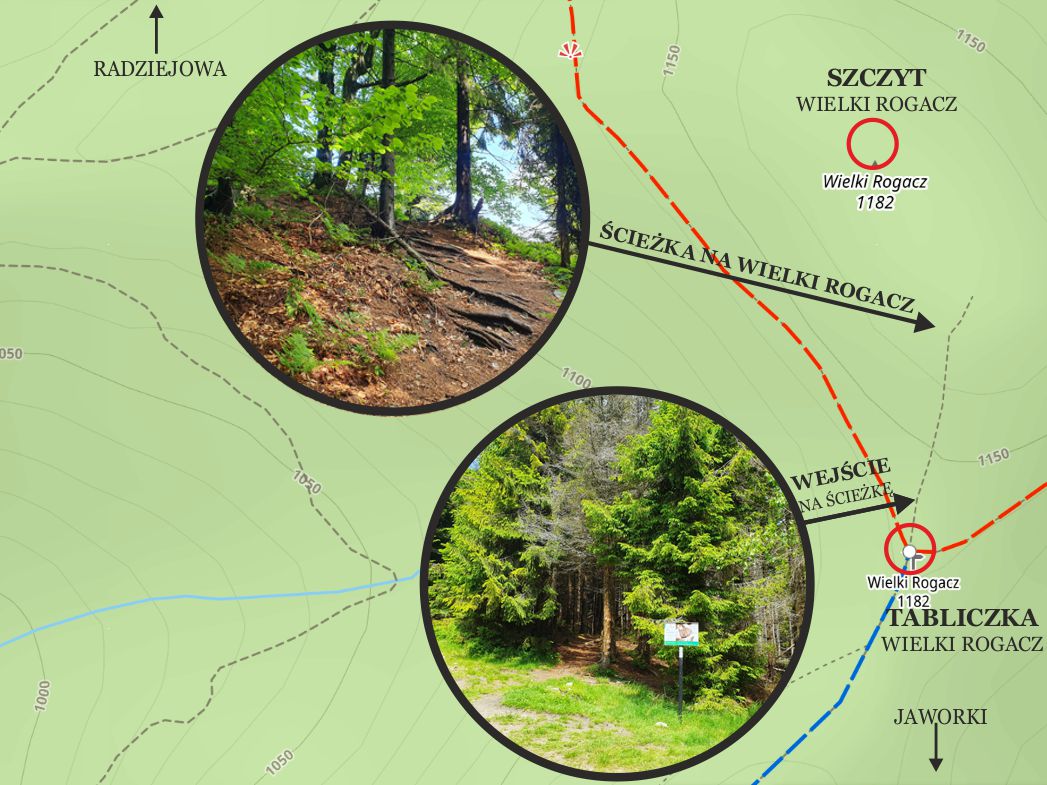 Radziejowa z Jaworek: Trasa od tabliczki na szczyt