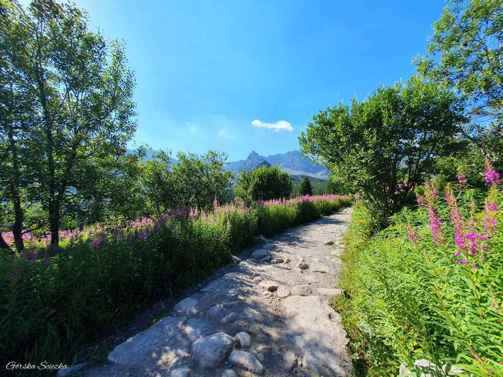 Czarny Staw Gąsienicowy: Szlak wytyczony przez Halę Gąsienicową