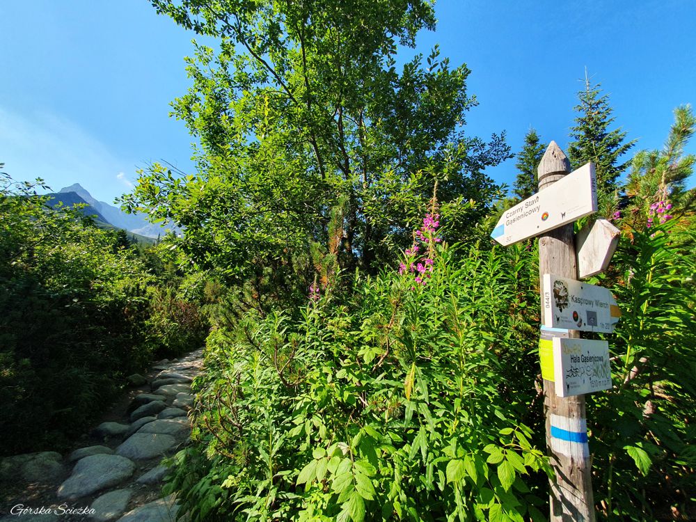 Czarny Staw Gąsienicowy: Szlakowskaz na Czarny Staw Gąsienicowy