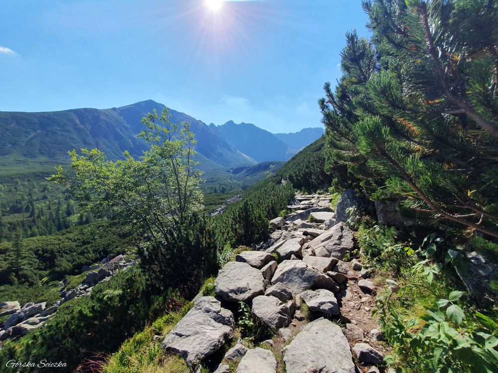 Czarny Staw Gąsienicowy: Panorama ze szlaku niebieskiego