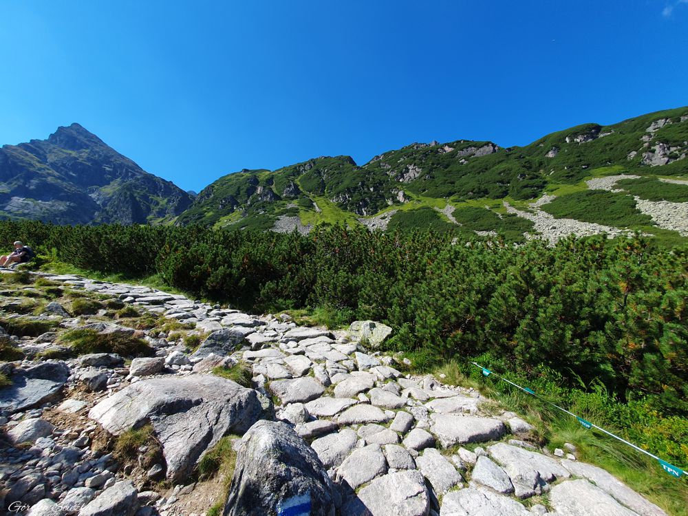 Czarny Staw Gąsienicowy: Końcowe podejście na staw