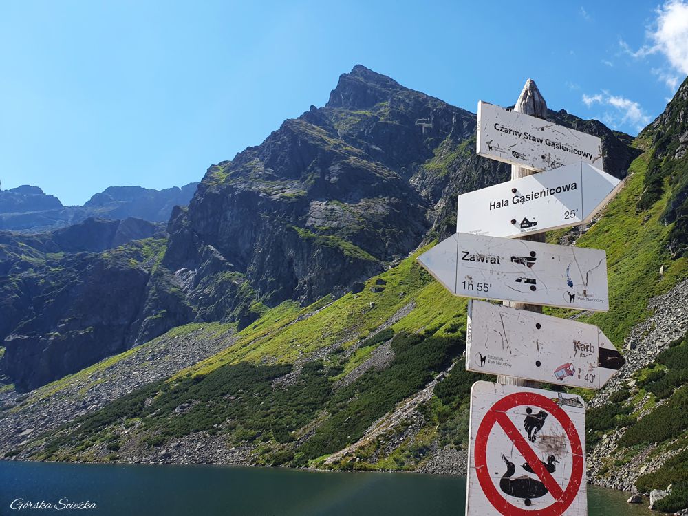 Czarny Staw Gąsienicowy: Nad Czarnym Stawem Gąsienicowym